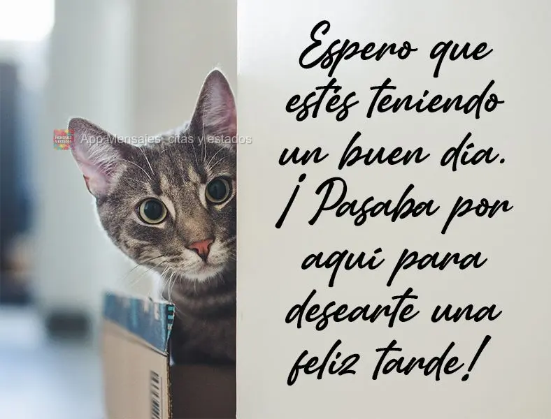 Espero que seu dia esteja sendo bom. Passei aqui para  te desejar uma Feliz Tarde!
