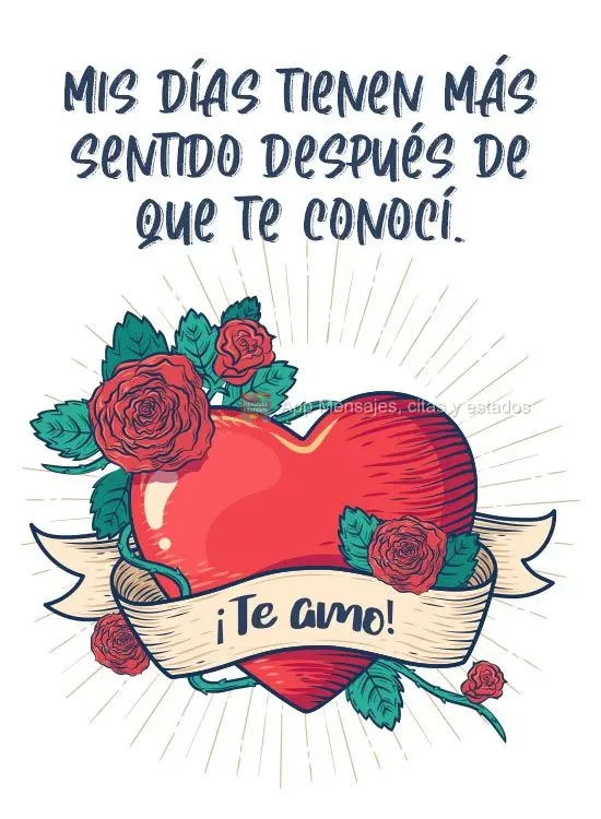Mis días tienen más sentido después de que te conocí. ¡Te amo!