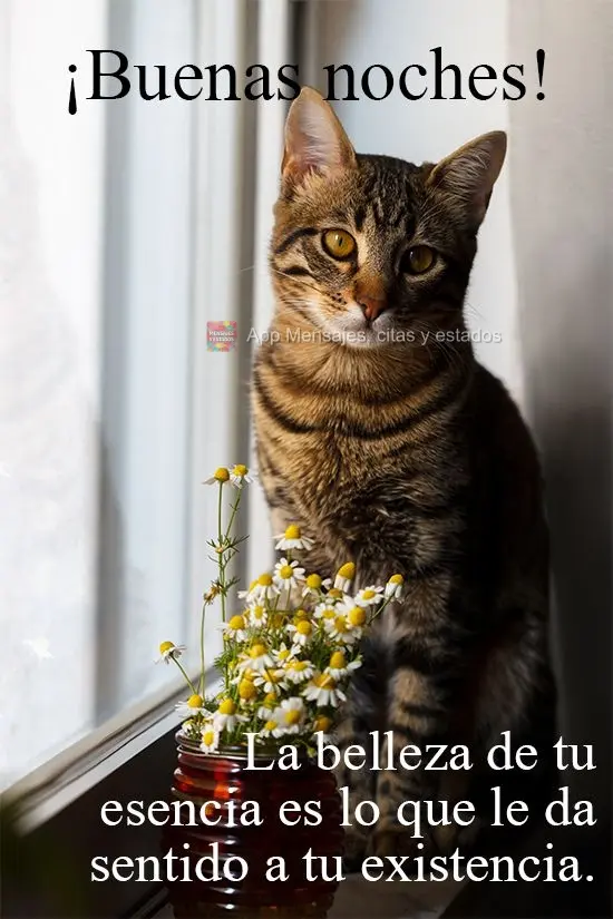 A beleza da sua essência é o que faz dar sentido a sua existência. 
 Boa Noite!