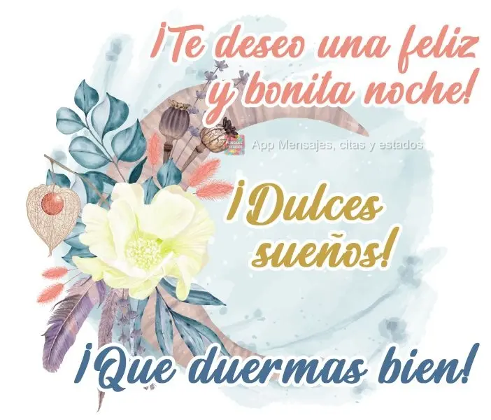 ¡Te deseo una feliz y bonita noche! ¡Dulces sueños! ¡Que duermas bien!