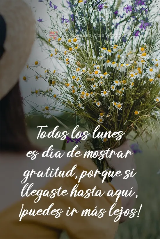 Toda Segunda-feira é dia de ser grato, porque se chegou até aqui, você pode ir mais longe!
