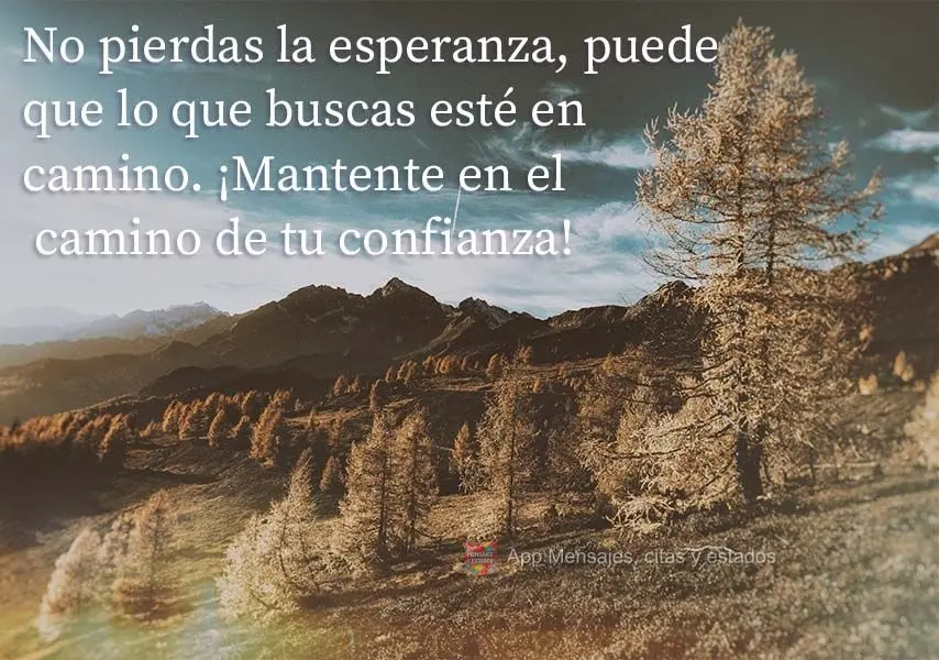 Não perca a esperança, o que procuras pode estar a caminho, mantenha-se na estrada da sua confiança!
