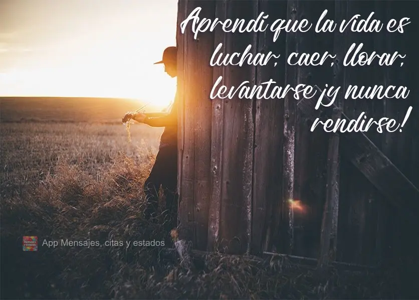 Aprendí que la vida es luchar, caer, llorar, levantarse ¡y nunca rendirse!