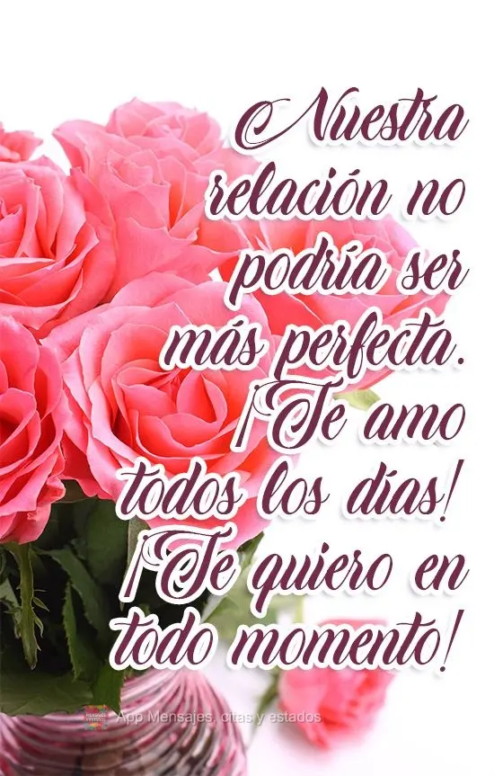 Nuestra relación no podría ser más perfecta. ¡Te amo todos los días! ¡Te quiero en todo momento!