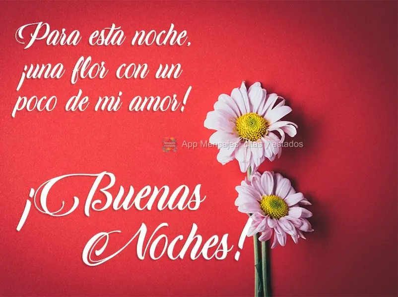 Para esta noite uma flor com um pouco do meu amor! Boa Noite!
