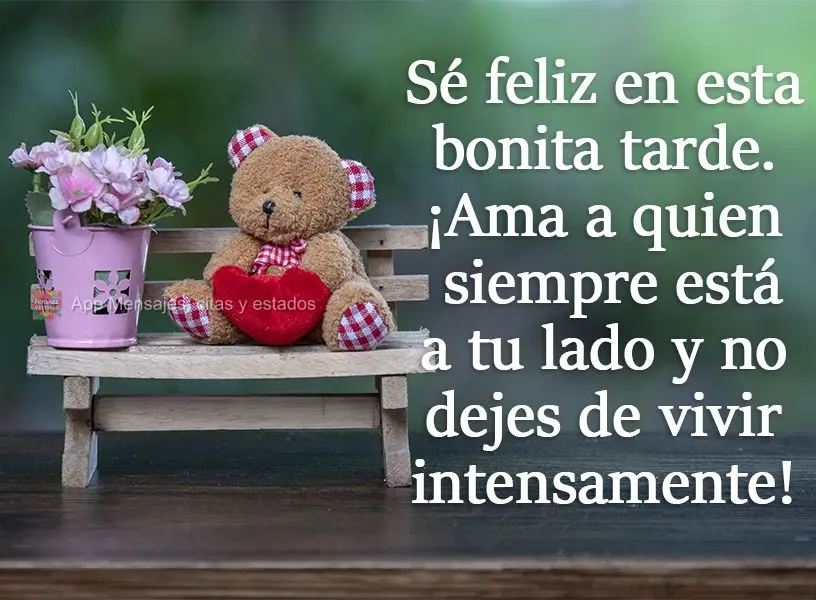 Seja feliz nesta Tarde bonita. Ame quem está ao seu lado sempre, e não deixe de viver intensamente!
