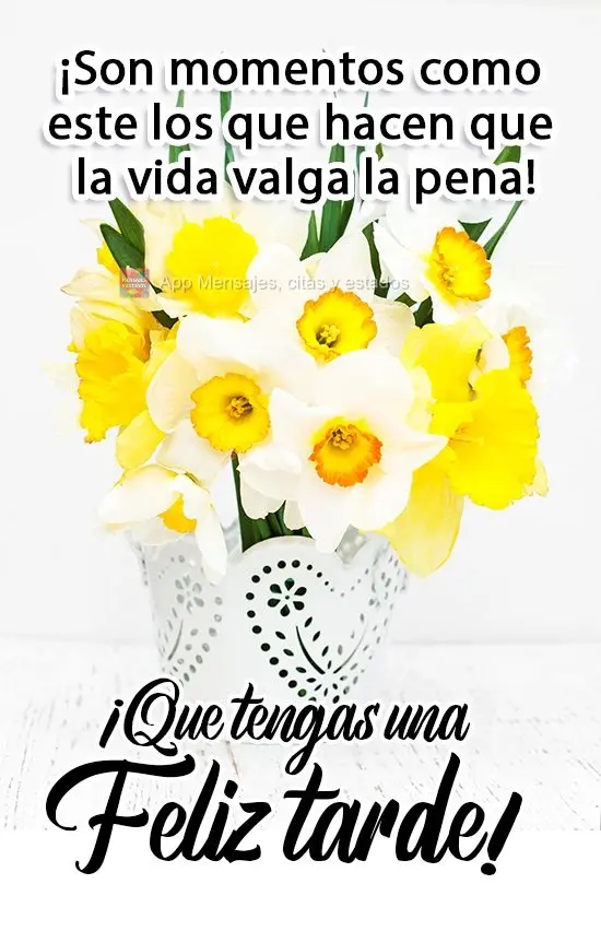 ¡Son momentos como este los que hacen que la vida valga la pena! ¡Que tengas una feliz tarde!