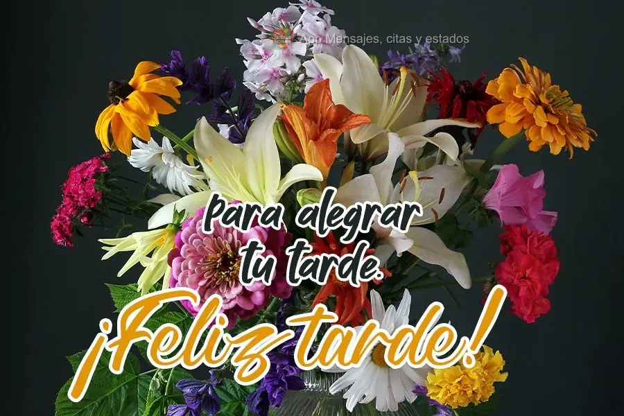 Para deixar sua tarde mais alegre.
 Boa Tarde! 