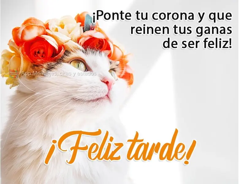 Vista sua coroa e reine sua vontade de ser feliz! 
 Boa Tarde!