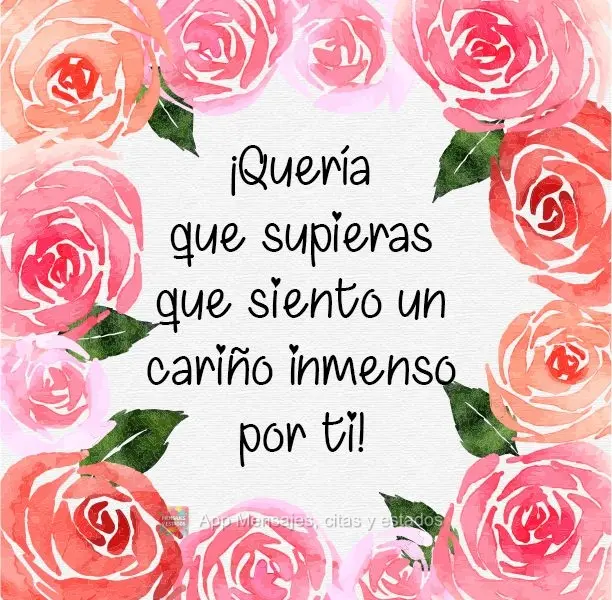 ¡Quería que supieras que siento un cariño inmenso por ti!