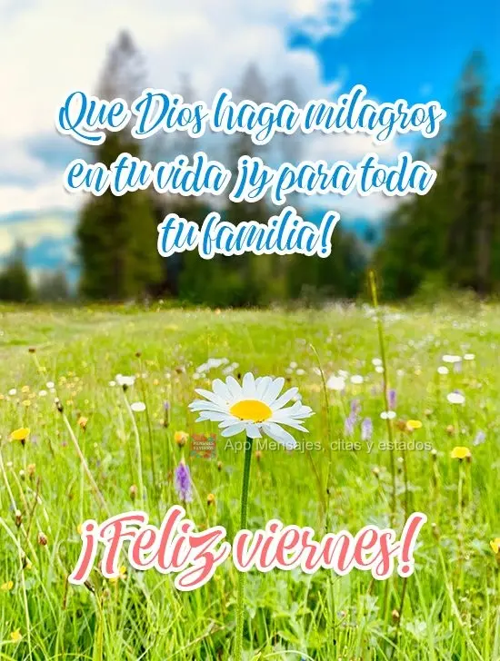Que Dios haga milagros en tu vida ¡y para toda tu familia! ¡Feliz viernes!