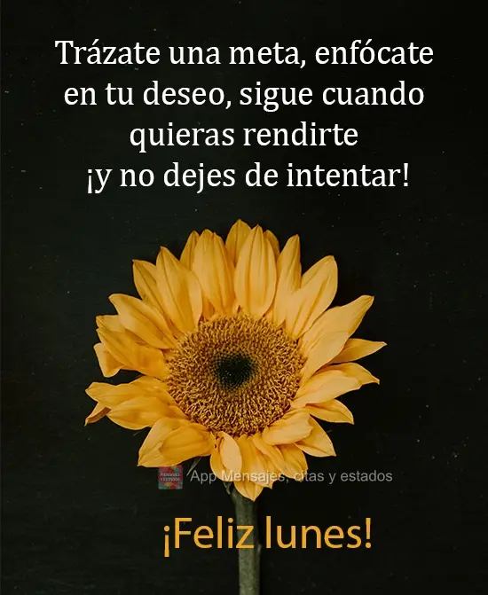 Trázate una meta, enfócate en tu deseo, sigue cuando quieras rendirte ¡y no dejes de intentar! ¡Feliz lunes!