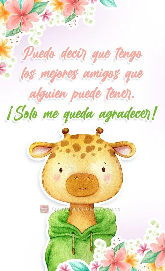 Puedo decir que tengo los mejores amigos que alguien puede tener. ¡Solo me queda agradecer!