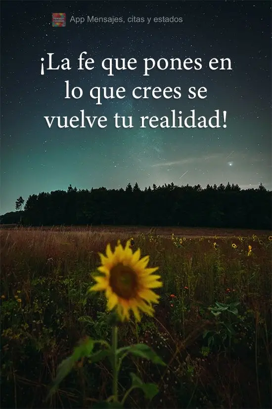 ¡La fe que pones en lo que crees se vuelve tu realidad!