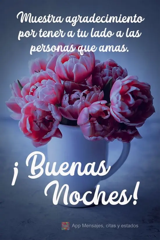 Seja grato por ter as pessoas que você ama ao seu lado.  Boa Noite!