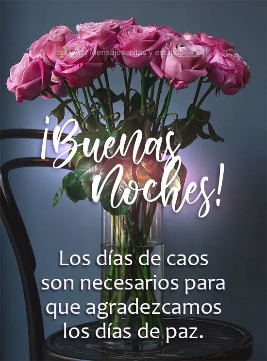 É preciso dias de caos para que haja gratidão nos dias de paz.
  Boa Noite!