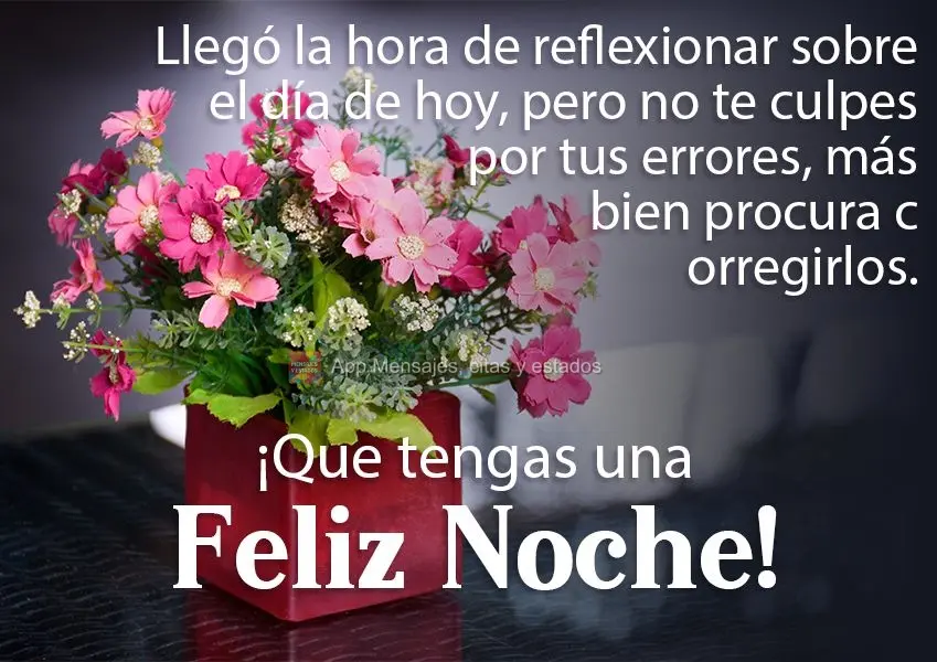 Chegou  a hora de refletirmos sobre o dia de hoje, mas não se culpe pelos seus erros, mas sim busque corrigi-los.
  Tenha uma Boa Noite!