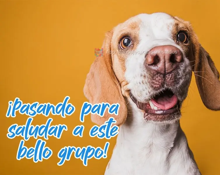 ¡Pasando para saludar a este bello grupo!