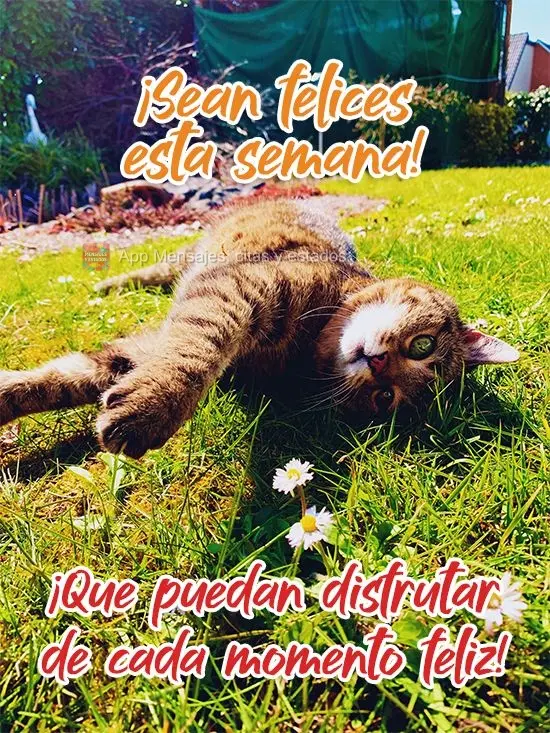 ¡Sean felices esta semana! ¡Que puedan disfrutar de cada momento feliz!