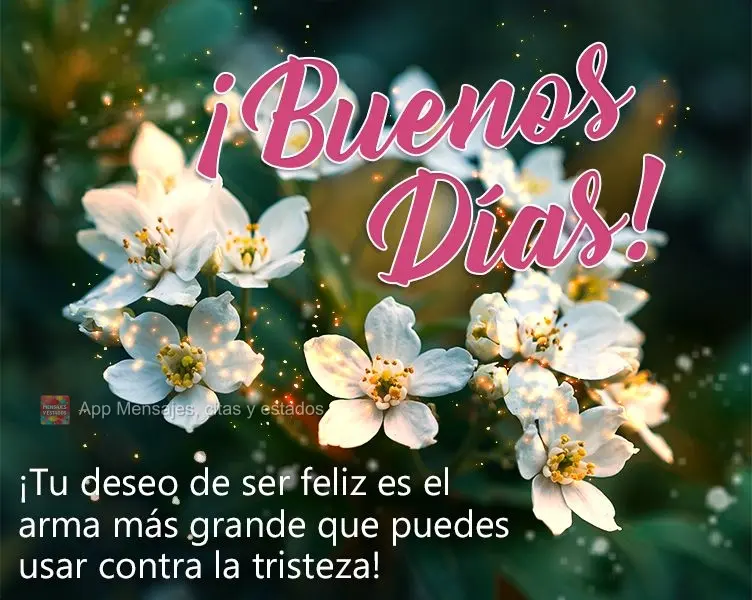 ¡Tu deseo de ser feliz es el arma más grande que puedes usar contra la tristeza! ¡Buenos días!