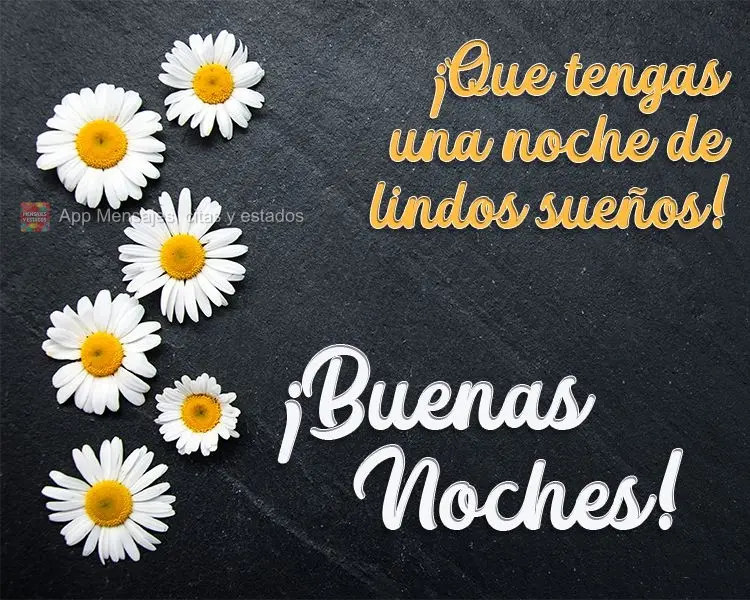 Tenha uma noite de lindos sonhos!  Boa Noite!