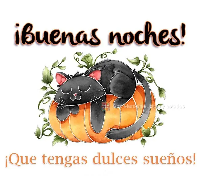 Boa Noite! Tenha bonitos sonhos!
