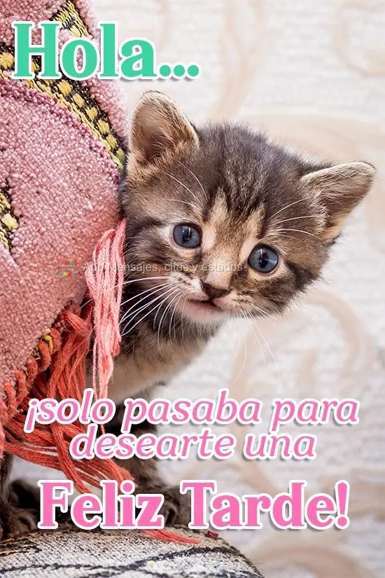Hola... ¡solo pasaba para desearte una feliz tarde!