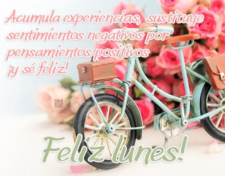 Absorva experiências, substitua sentimentos negativos por pensamentos positivos e vamos ser feliz! 
 Boa Segunda-feira!