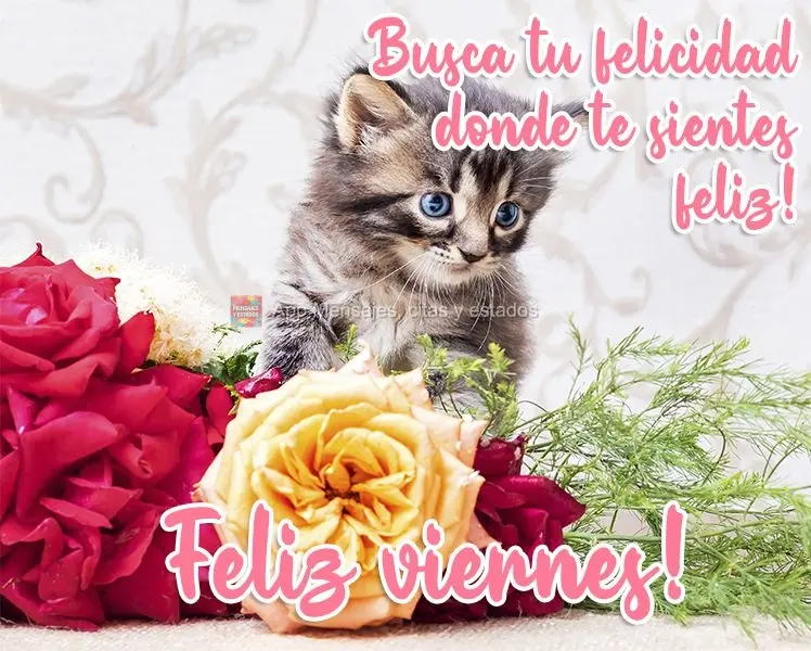 ¡Busca tu felicidad donde te sientes feliz! ¡Feliz viernes!