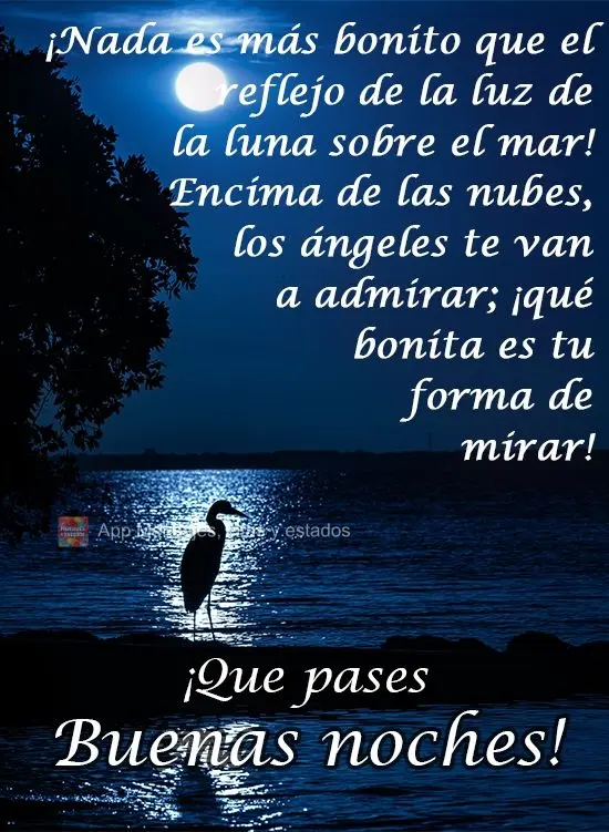 Nada é mais lindo que a luz refletida da lua no mar! Sobre as nuvens, anjos estão a te admirar. Que coisa mais linda é esse seu olhar! 
 Tenha uma Bo...