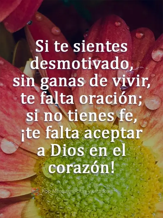 Si te sientes desmotivado, sin ganas de vivir, te falta oración; si no tienes fe, ¡te falta aceptar a Dios en el corazón!