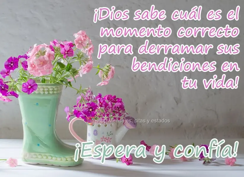 ¡Dios sabe cuál es el momento correcto para derramar sus bendiciones en tu vida! ¡Espera y confía!