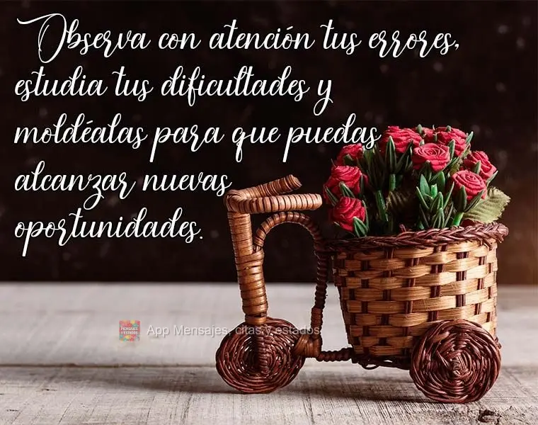 Observe com atenção seus erros, estude suas dificuldades e as molde para que faça você alcançar novas oportunidades!
