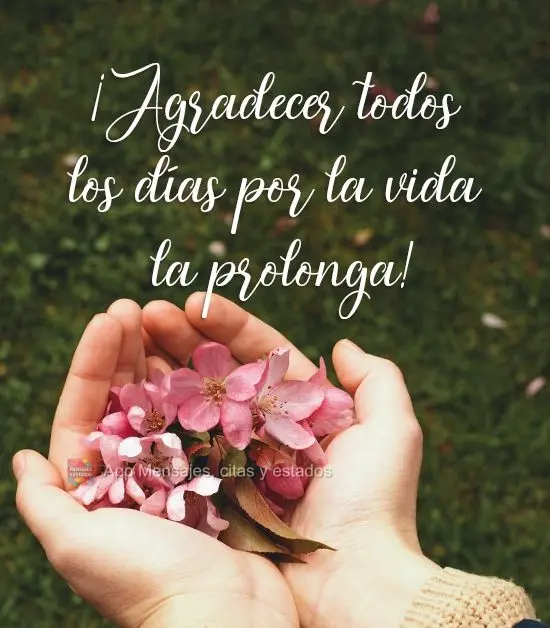 ¡Agradecer todos los días por la vida la prolonga!