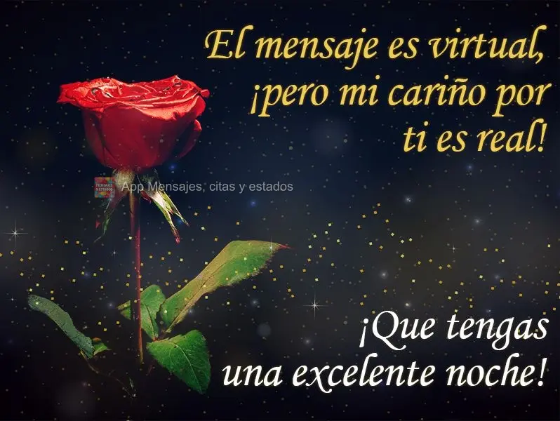 A mensagem é virtual, mas meu carinho por você é real! 
 Tenha uma ótima Noite!