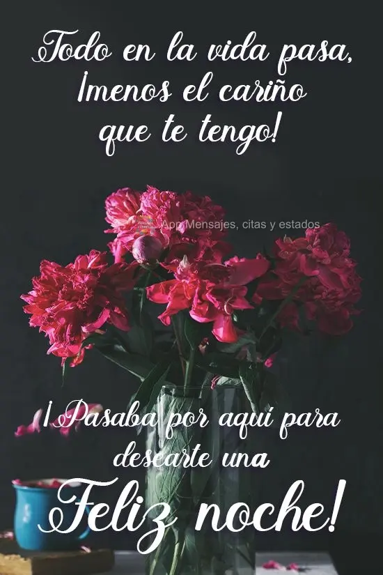 Tudo na vida passa, menos o carinho que sinto por você!  Passei aqui para te desejar uma Boa Noite!
