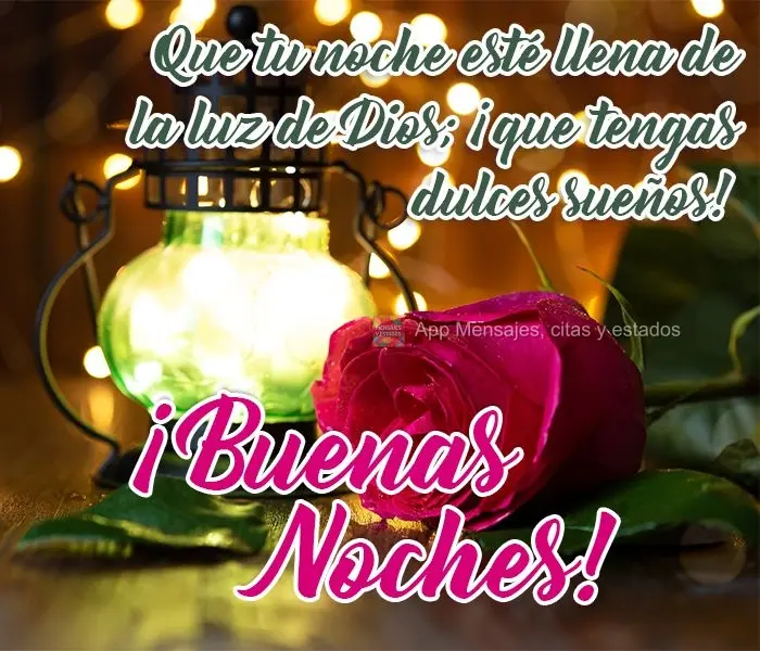 Que sua noite seja cheia da luz divina de Deus e que você tenha lindos sonhos!  Boa Noite!