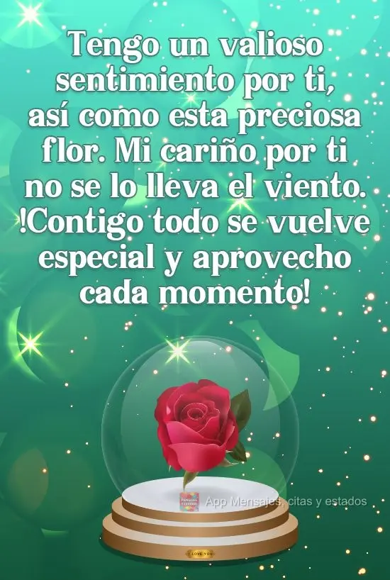 Tengo un valioso sentimiento por ti, así como esta preciosa flor. Mi cariño por ti no se lo lleva el viento. ¡Contigo todo se vuelve especial y aprove...
