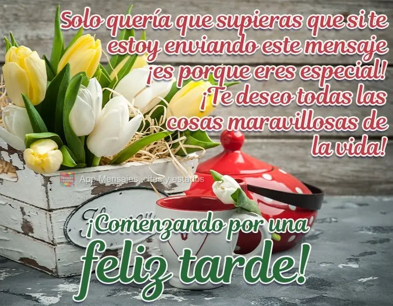 Só queria que soubesse que se estou te enviando esta mensagem, é porque você é especial! E que desejo a você todas as cosas maravilhosas da vida... ...