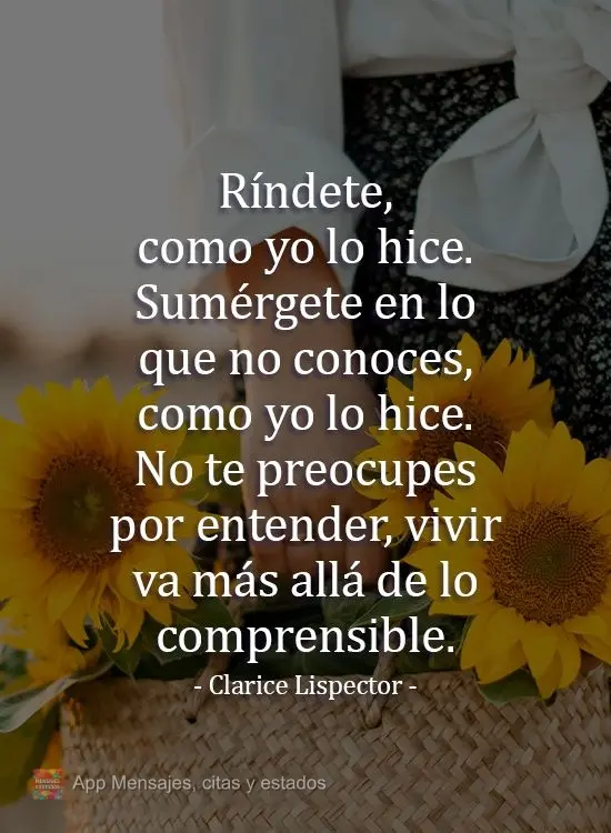 Ríndete, como yo lo hice. Sumérgete en lo que no conoces, como yo lo hice. No te preocupes por entender, vivir va más allá de lo comprensible. Claric...