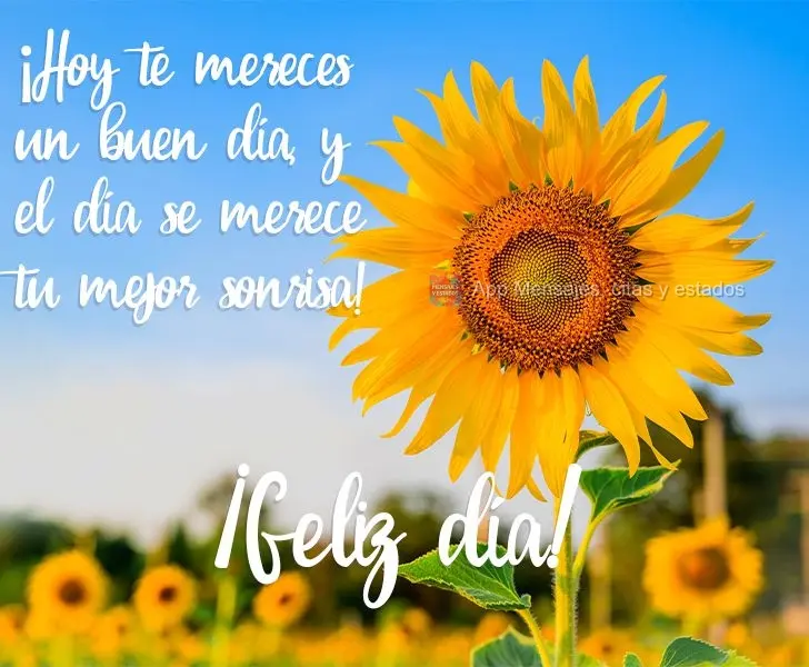 Hoje você merece um bom dia, e o dia merece seu melhor sorriso!
  Bom Dia!