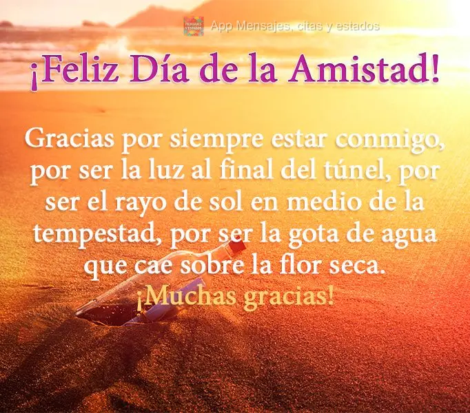 Gracias por siempre estar conmigo, por ser la luz al final del túnel, por ser el rayo de sol en medio de la tempestad, por ser la gota de agua que cae s...