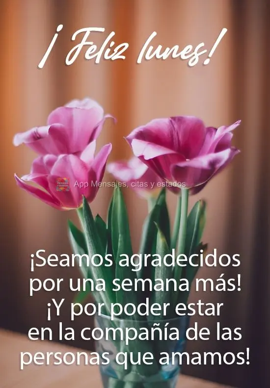 ¡Seamos agradecidos por una semana más! ¡Y por poder estar en la compañía de las personas que amamos! ¡Feliz lunes!
