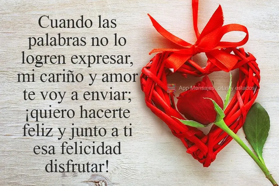 Cuando las palabras no lo logren expresar, mi cariño y amor te voy a enviar; ¡quiero hacerte feliz y junto a ti esa felicidad disfrutar!