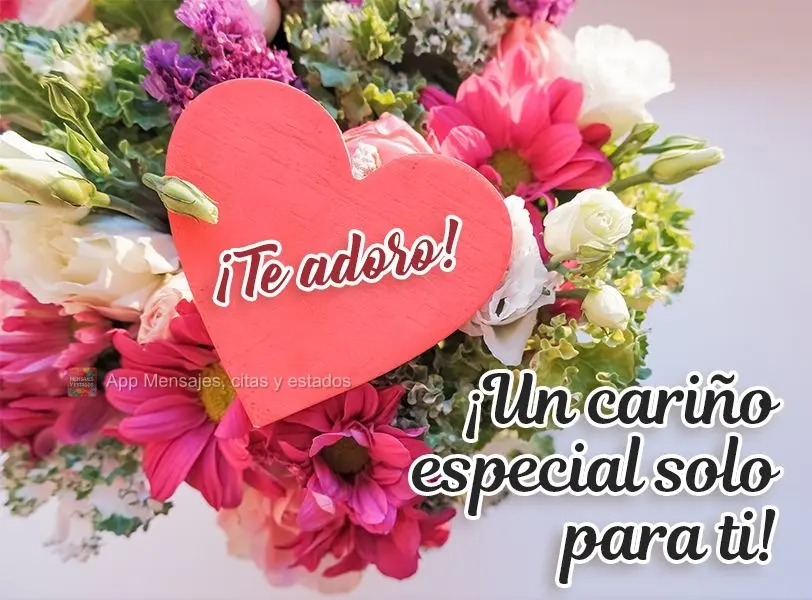 ¡Un cariño especial solo para ti! ¡Te adoro!
