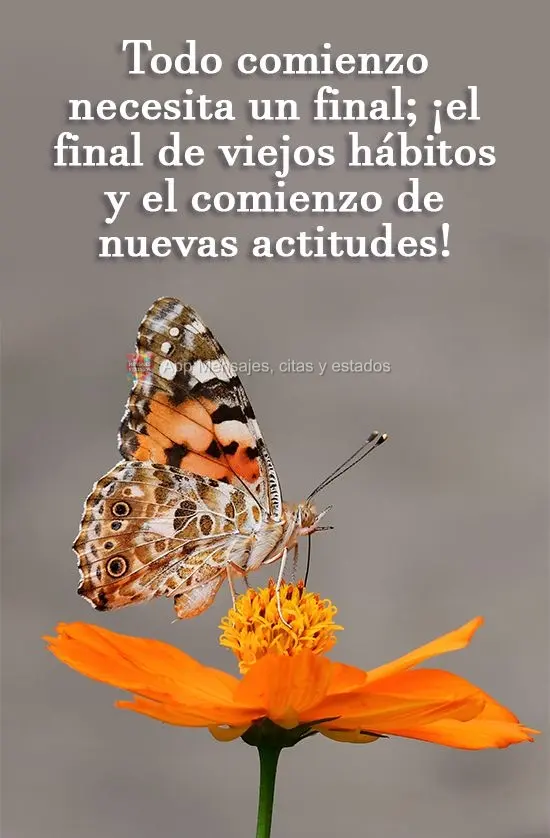 Todo começo precisa de um fim, o fim de velhos hábitos e o começo de novas atitudes!
