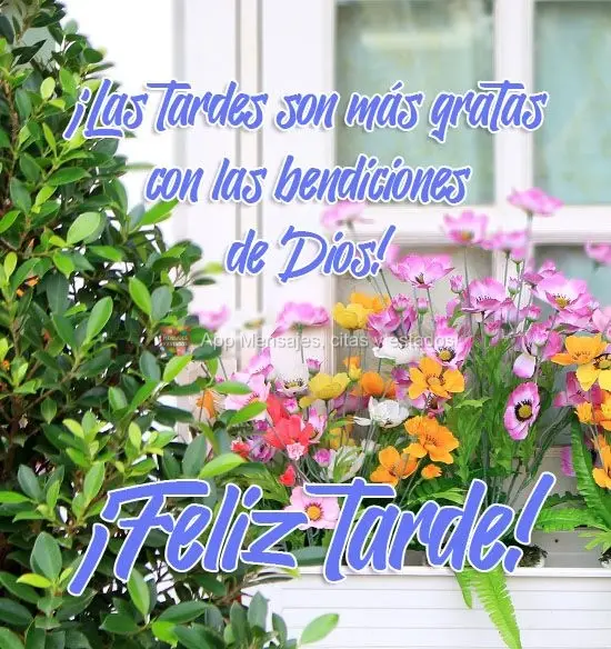 As tardes ficam mais gratificantes com as bênçãos de Deus! 
 Boa Tarde!