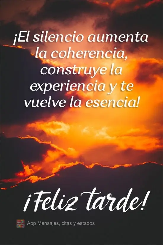 ¡El silencio aumenta la coherencia, construye la experiencia y te vuelve la esencia!  ¡Feliz tarde!