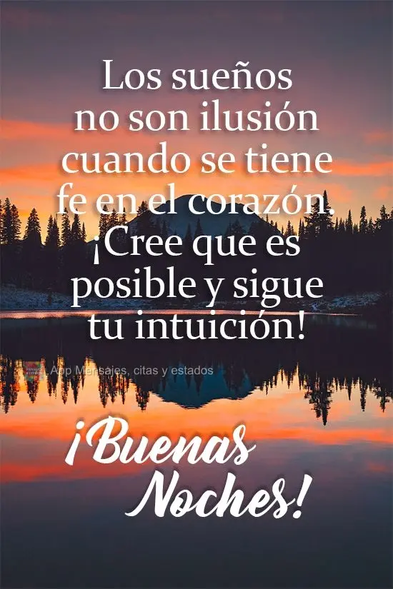 Sonhos não são ilusão quando se tem fé no coração, acredite que é possível e siga sua intuição!
  Boa Noite!