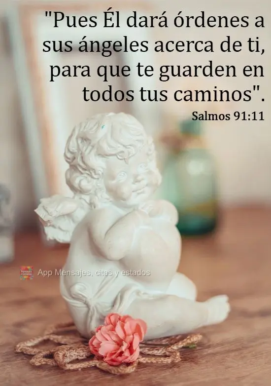 "Pues Él dará órdenes a sus ángeles acerca de ti, para que te guarden en todos tus caminos".

Salmos 91:11